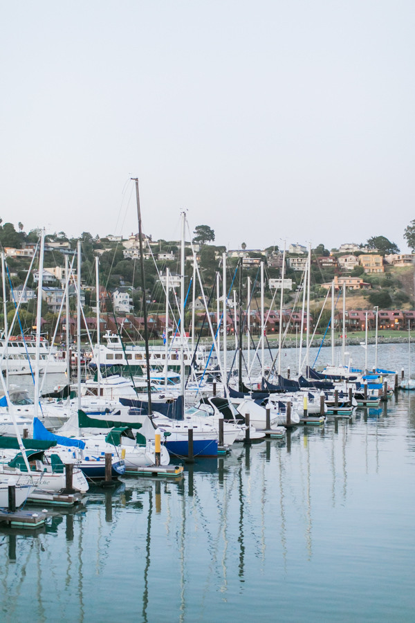little-wedding-by-the-bay