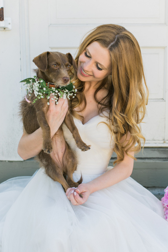 wedding dog with floral collar