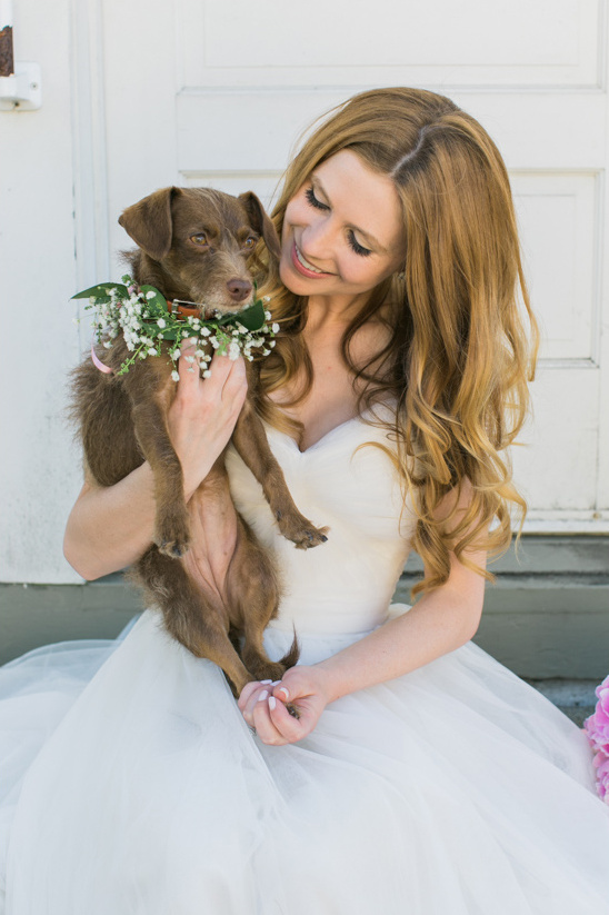 Little Wedding By The Bay