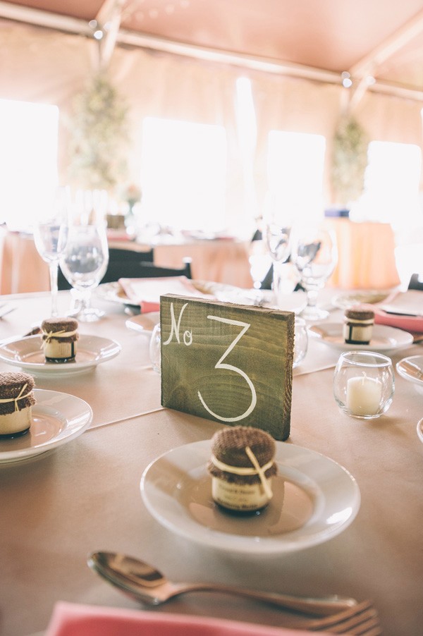 pink-and-grey-vineyard-wedding-under-15k