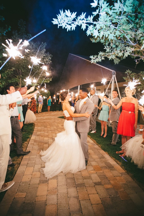 pink-and-grey-vineyard-wedding-under-15k