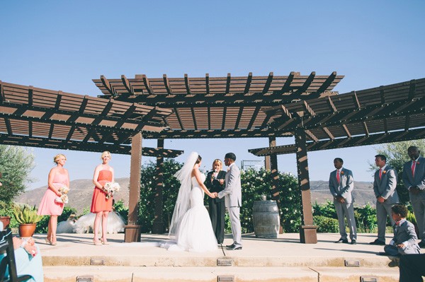 pink-and-grey-vineyard-wedding-under-15k