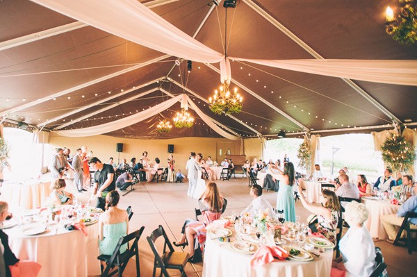 pink-and-grey-vineyard-wedding-under-15k