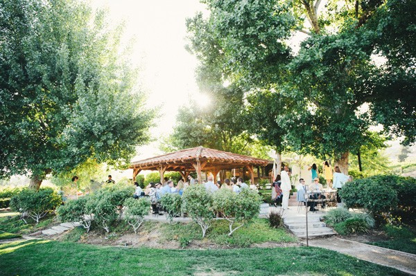 pink-and-grey-vineyard-wedding-under-15k