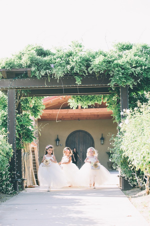 pink-and-grey-vineyard-wedding-under-15k