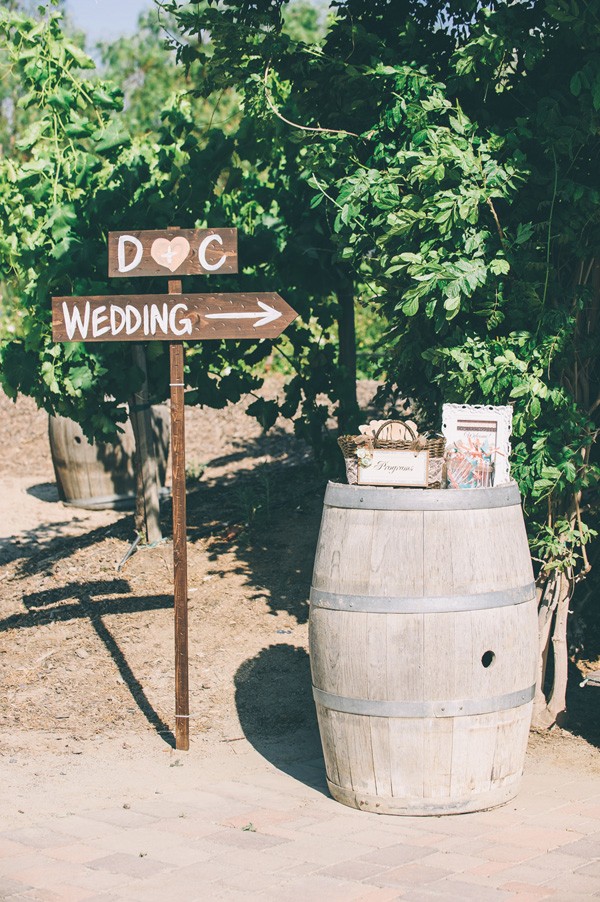 pink-and-grey-vineyard-wedding-under-15k