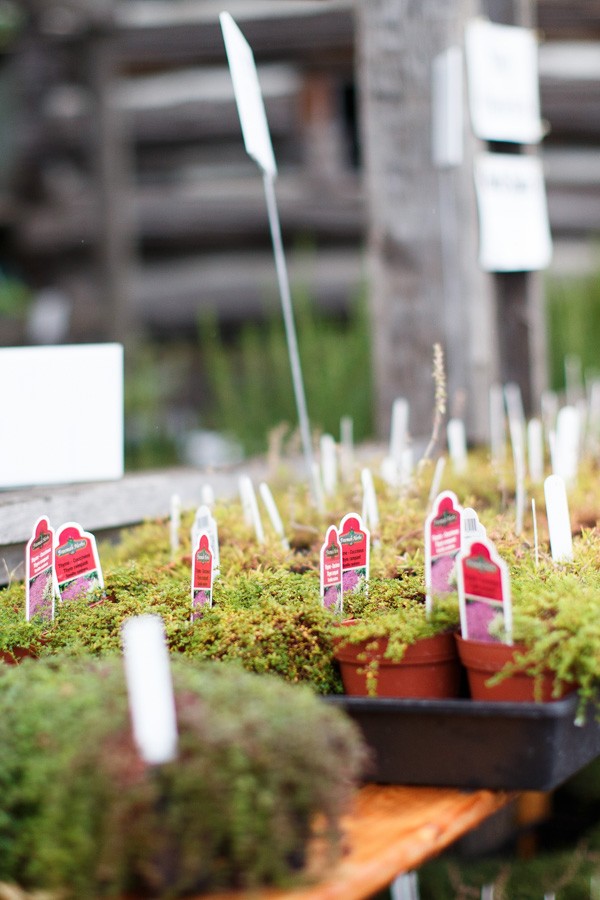 unconventional-wedding-venue-tips