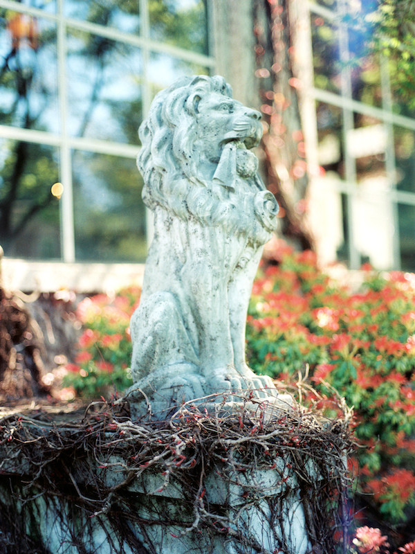 glamorous-vancouver-wedding-venue