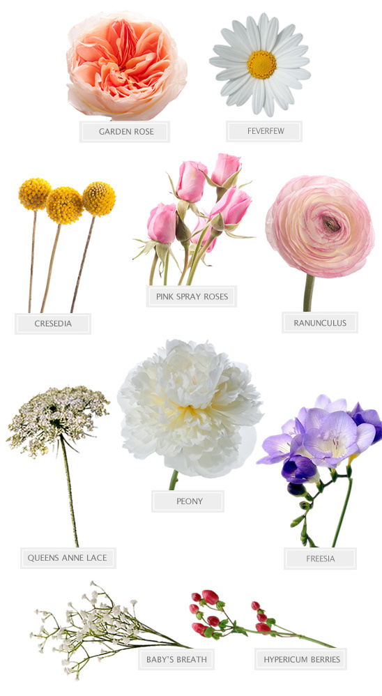 Assorted flowers Garden rose feverfew peony babies breath