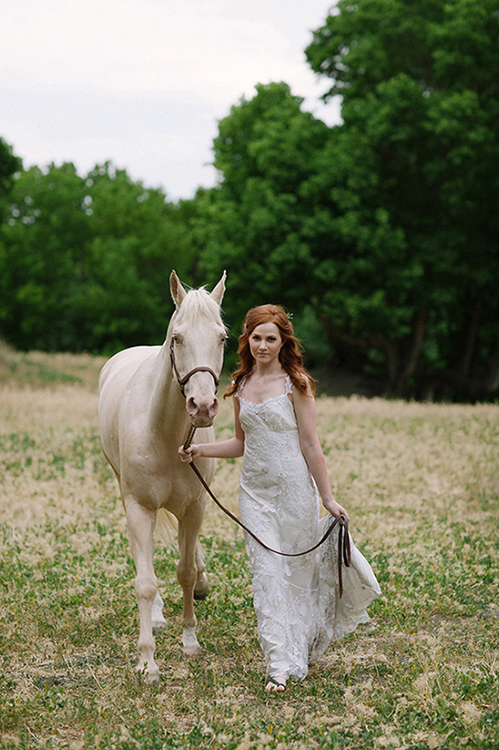 Bride in lace gown leads palomino horse through field