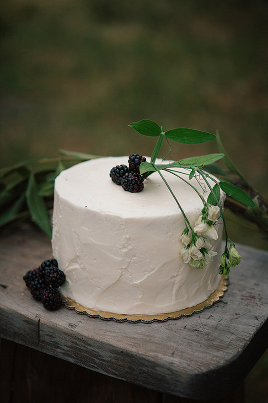 clean and fresh berry topped cake
