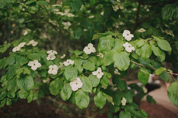 peppy-rustic-wedding