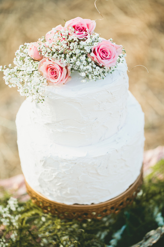 rose and babys breath topped cake