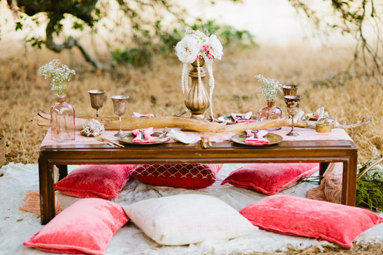 cozy pink picnic