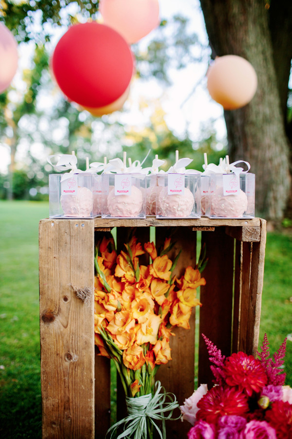 pink-apple-inspired-wedding