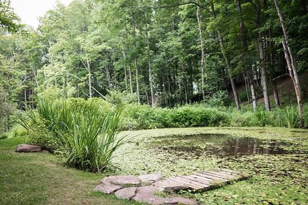 quiet-wedding-in-the-woods-at-the