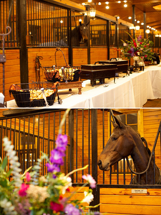 dine with the horses