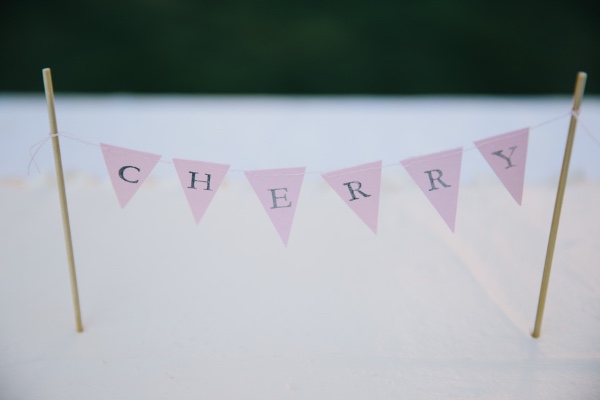 backyard-pink-gray-and-lace-wedding
