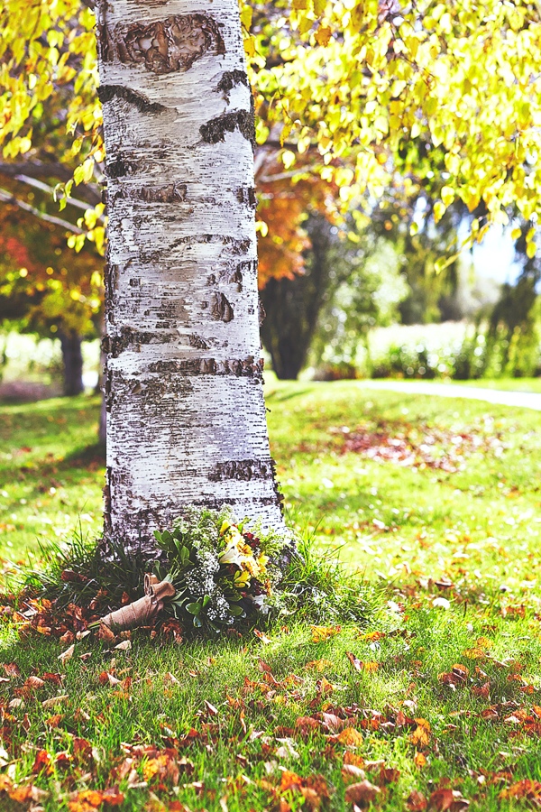 fall-canadian-wedding