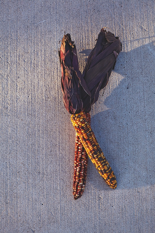 fall-canadian-wedding
