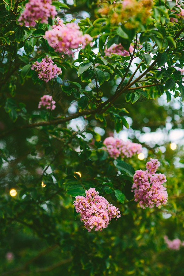 hashtag-adorable-pink-wedding