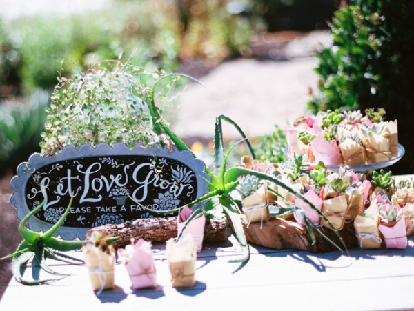 let-love-grow-vineyard-wedding