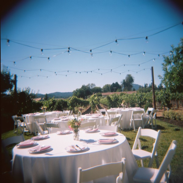 let-love-grow-vineyard-wedding