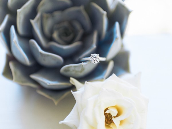let-love-grow-vineyard-wedding