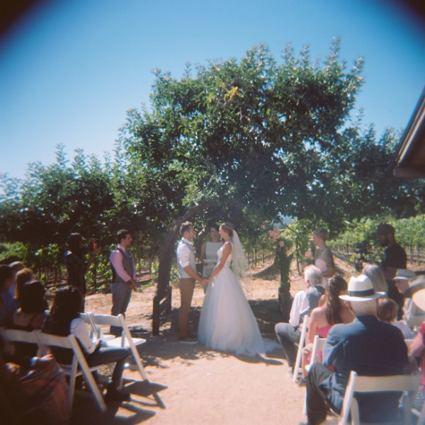 let-love-grow-vineyard-wedding
