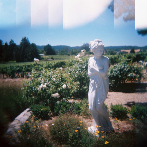 let-love-grow-vineyard-wedding