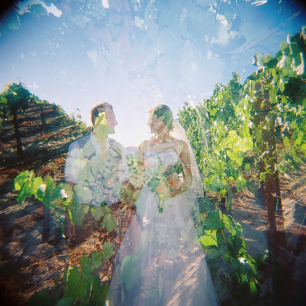 let-love-grow-vineyard-wedding