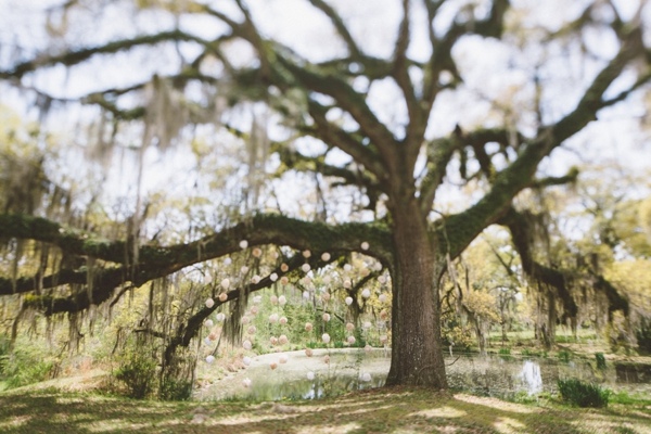 moon-inspired-plantation-wedding