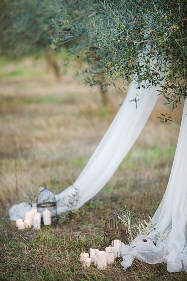 olive-inspired-wedding-ideas