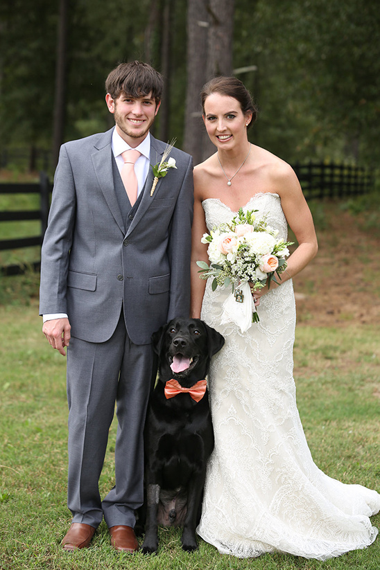 Bride groom and dog at wedding wearing bowtie