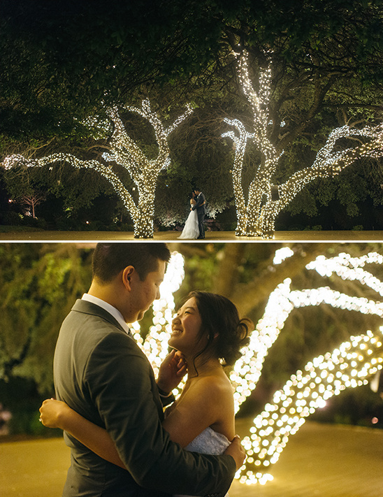 romanticly lit trees