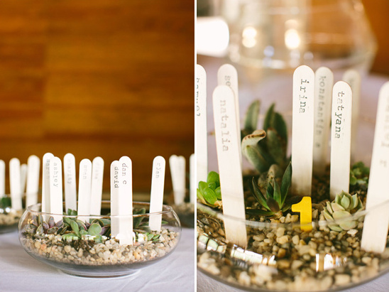 Wedding table decoration with succulent plants and guest names