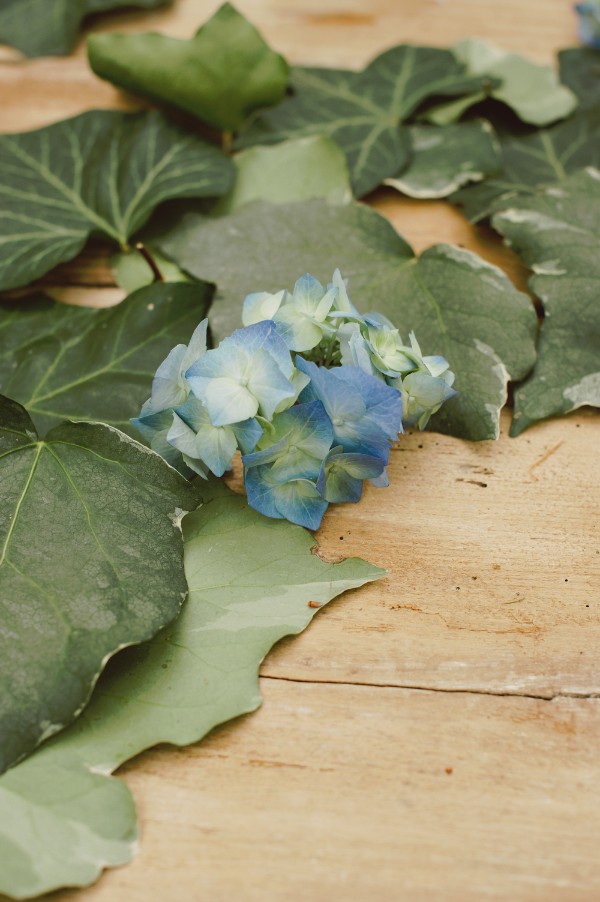 beautiful-and-bright-forest-wedding-in