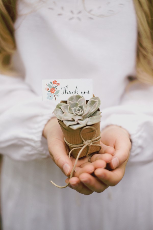 beautiful-and-bright-forest-wedding-in