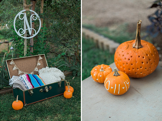 cozy blankets and cute pumpkins