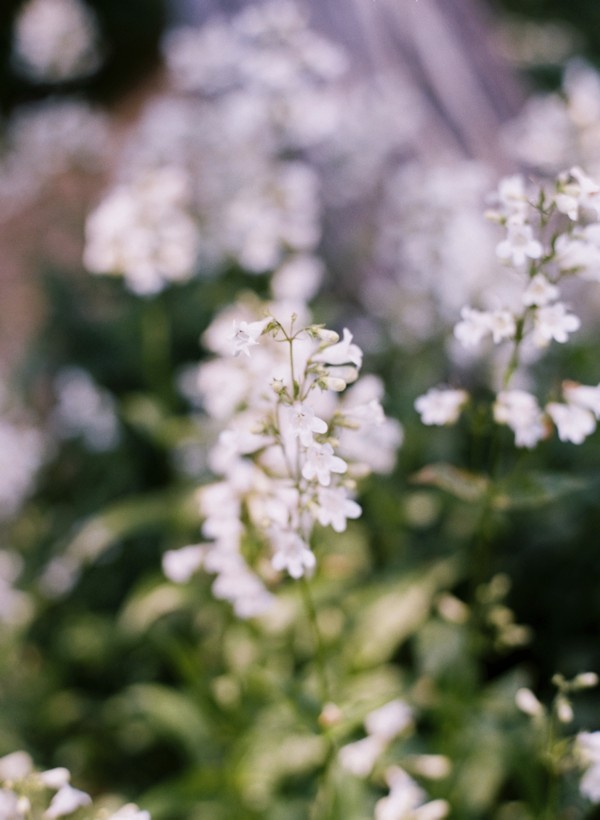 elegant-green-and-white-garden-wedding