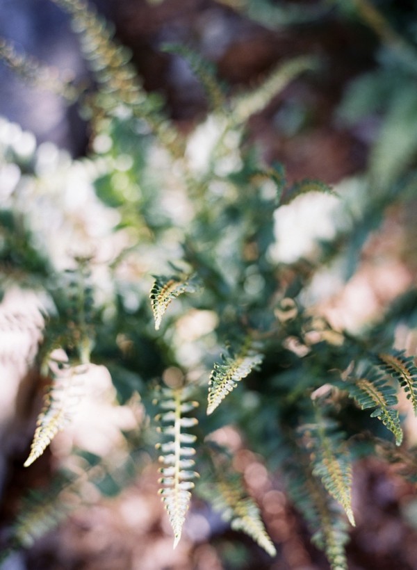 elegant-green-and-white-garden-wedding