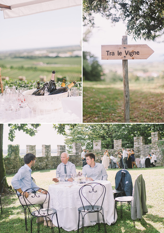 Vineyard wedding reception with champagne and guests