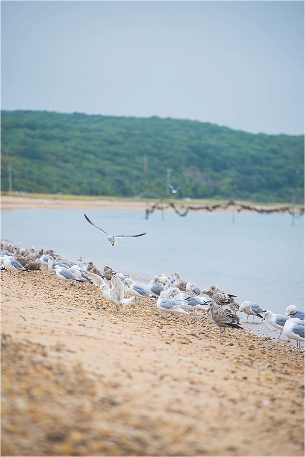 nautical-wedding-at-navy-beach
