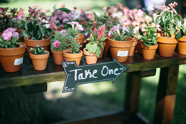 no-ordinary-outdoor-wedding