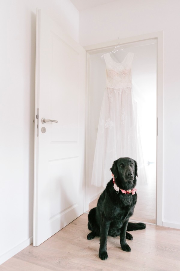 puppy-love-wedding-in-germany