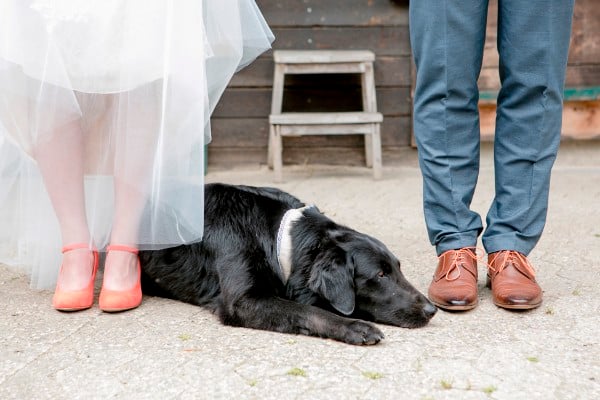 puppy-love-wedding-in-germany