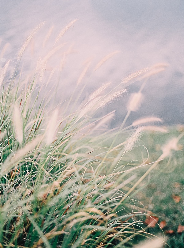 romantic-rustic-wedding