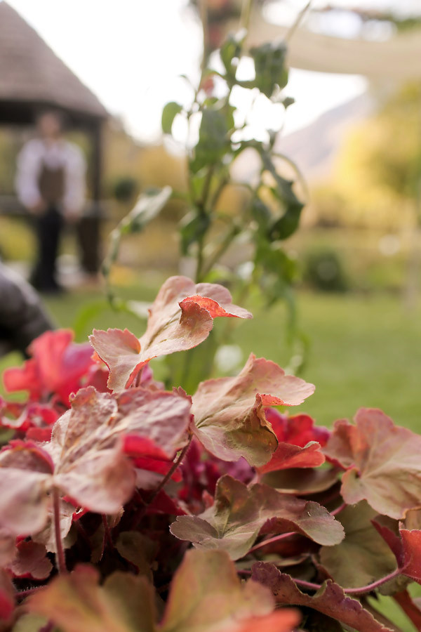 the-ultimate-fall-wedding