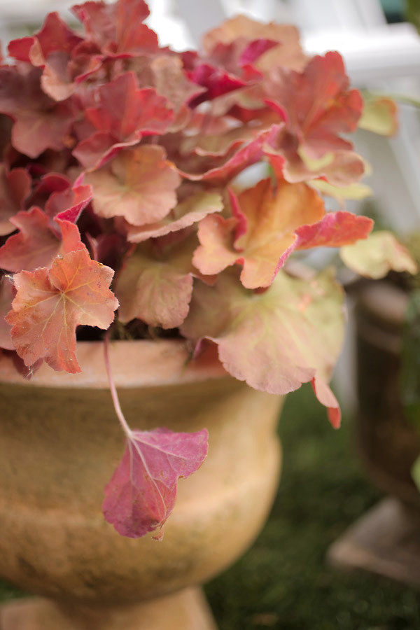 the-ultimate-fall-wedding
