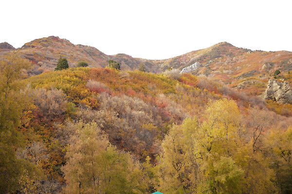 the-ultimate-fall-wedding
